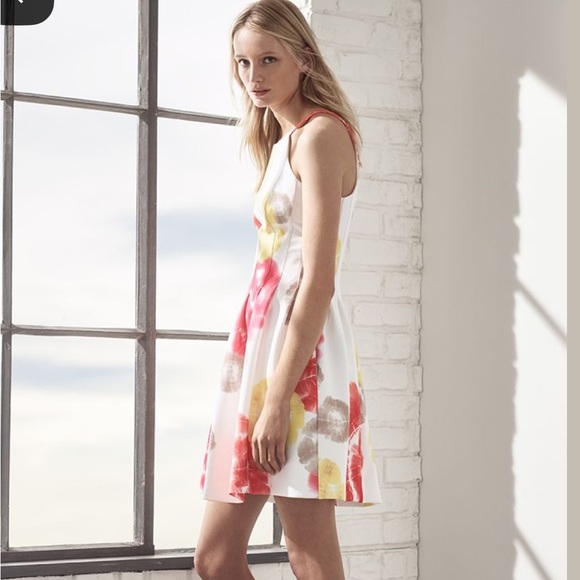 Calvin Klein Floral White Pink Red Coral Yellow Scuba Dress size 6 - Picture 2 of 7